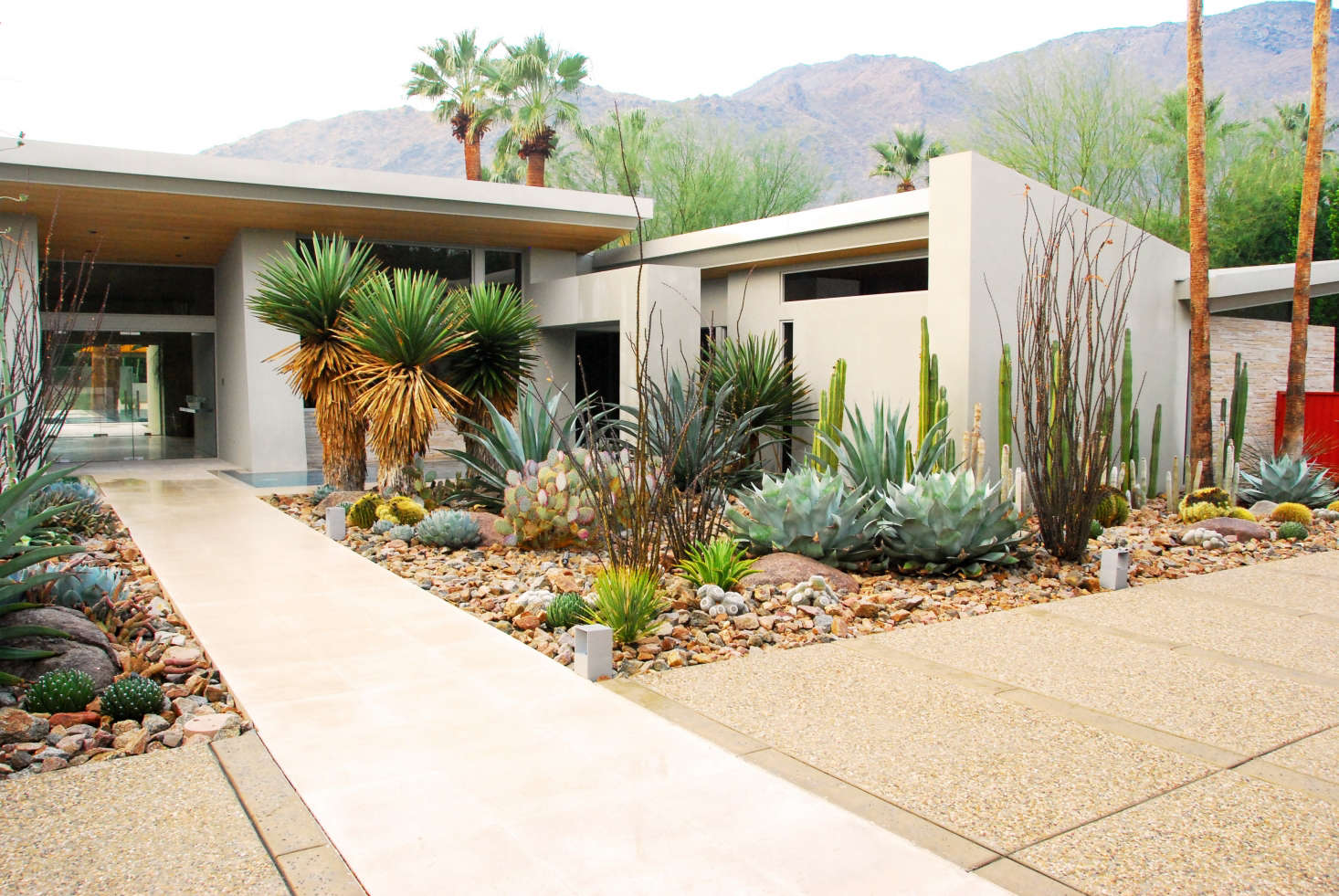 Required Reading: The Mid-Century Modern Garden by Ethne Clarke - Gardenista