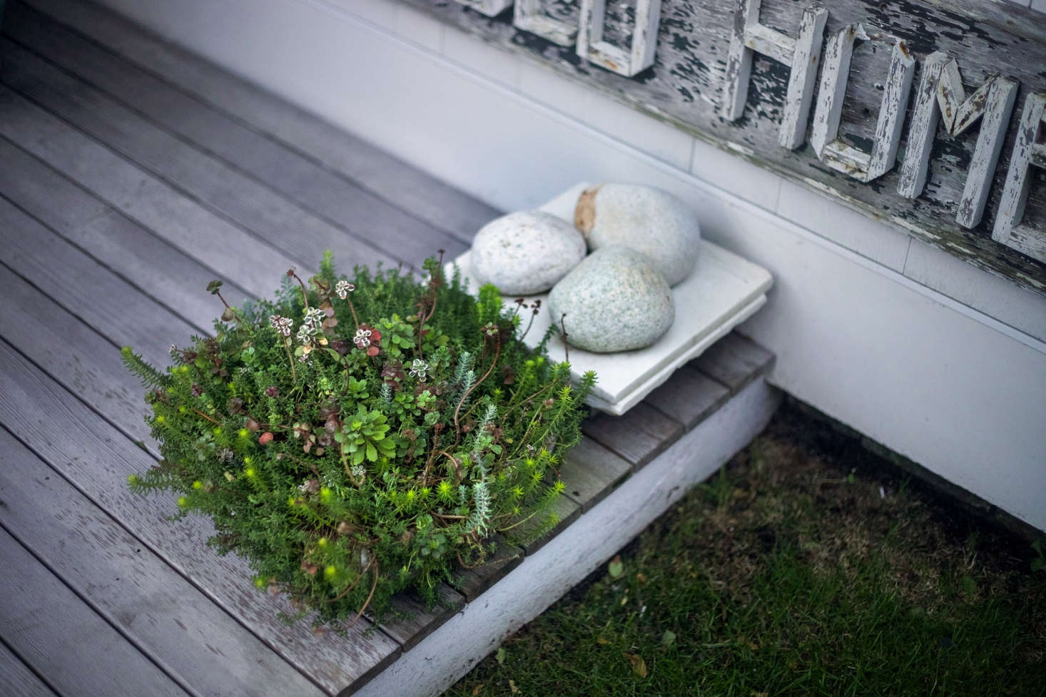 在走廊里的小庭院:——一层的小石头,还有一棵小花园的木树。