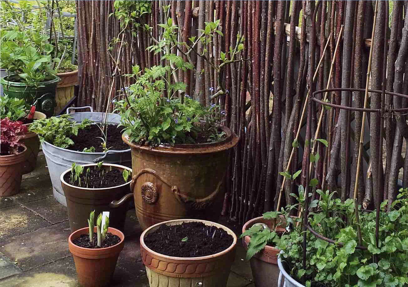 Garden Hacks 10 Genius Ideas to Hide the Air Conditioner