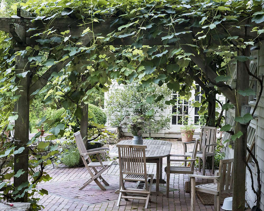 A sturdy pergola supports the grapevines.