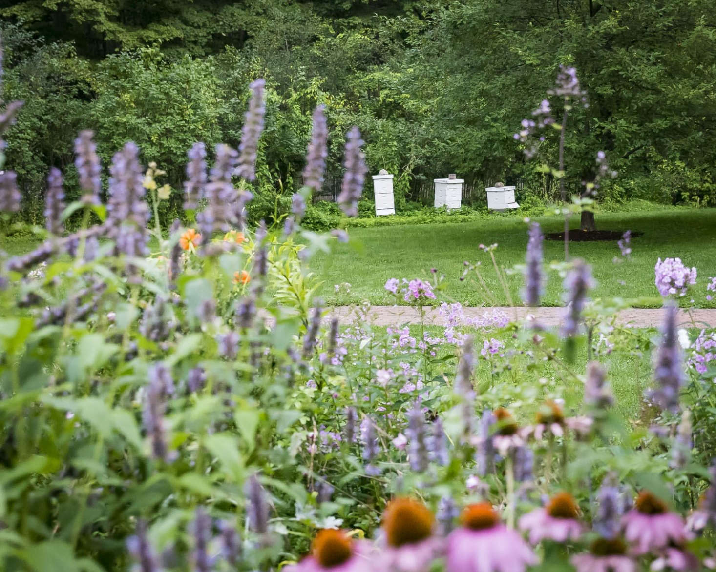 All this and bees too.