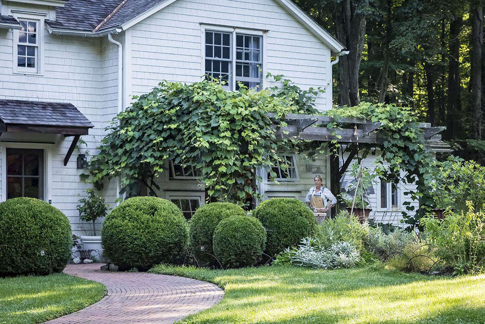 A grapevine shelters the kitchen patio of chef and farmer Phoebe Cole-Smith in Weston, Connecticut.