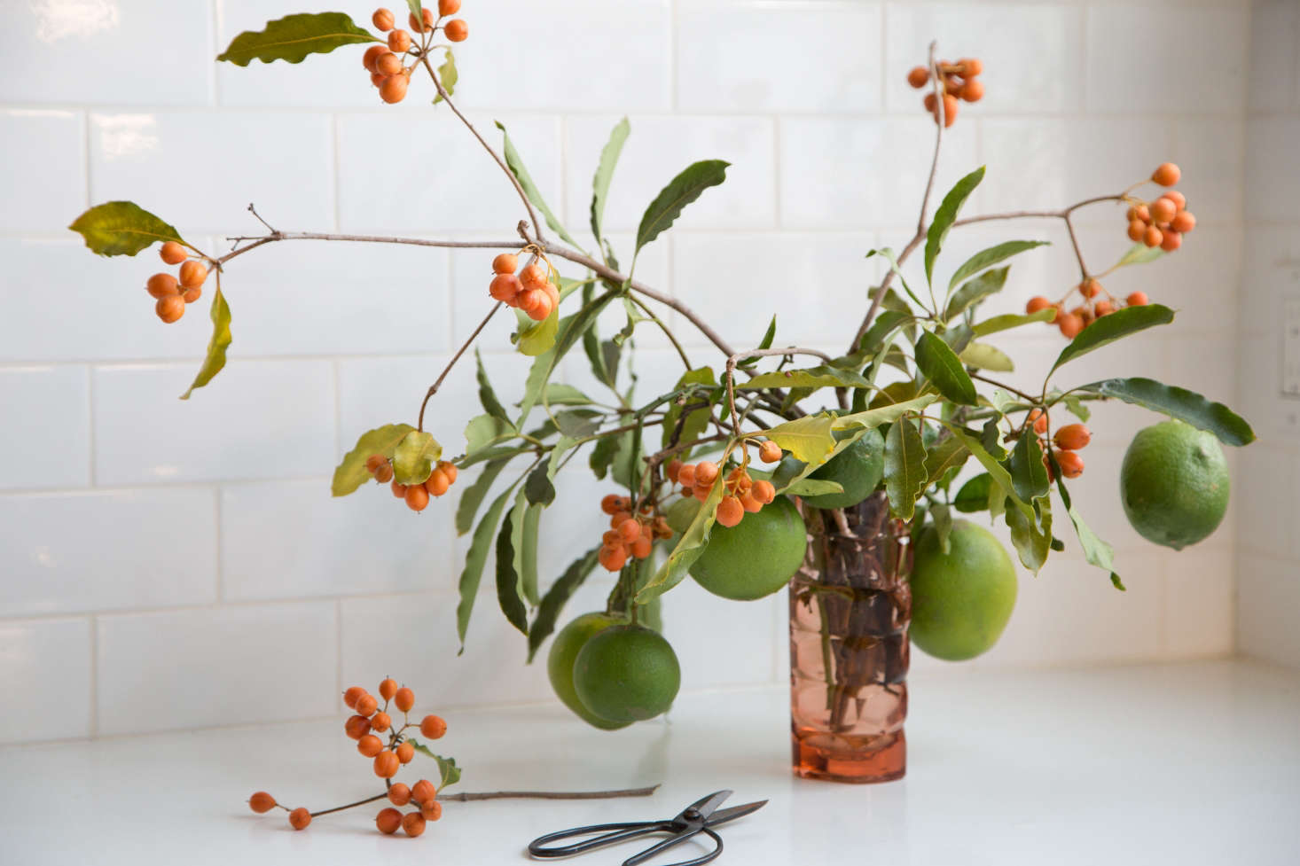 Floral designer Sophia Moreno-Bunge clipped the orange berries while on a walk in her neighborhood, and found the unripe lemons in a friend’s yard. Photograph by Beth Coller for Gardenista, from Ways to Bring Nature Home with Sophia Moreno-Bunge.