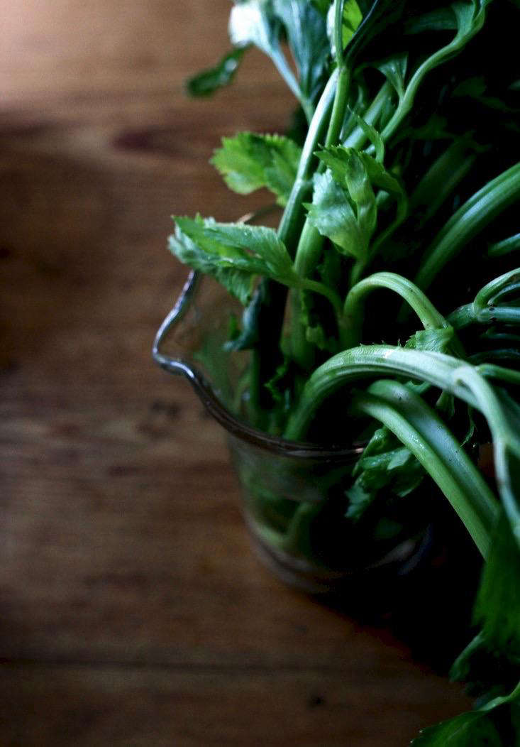 See more of this celery (and its vegetable friends) in Cheat Sheet: How to Keep Vegetables Fresh Longer. Photograph by Erin Boyle.