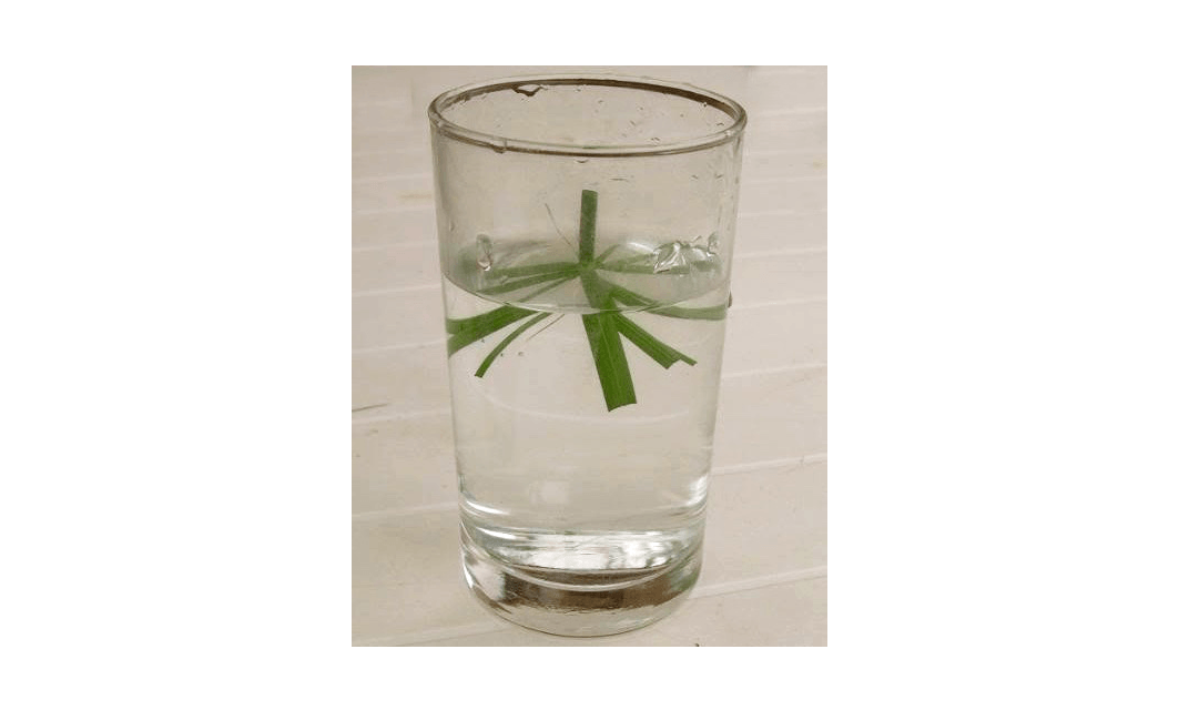 在火盆里的火花。来自《星际迷航》的《RRRRRRRRRRRORT。