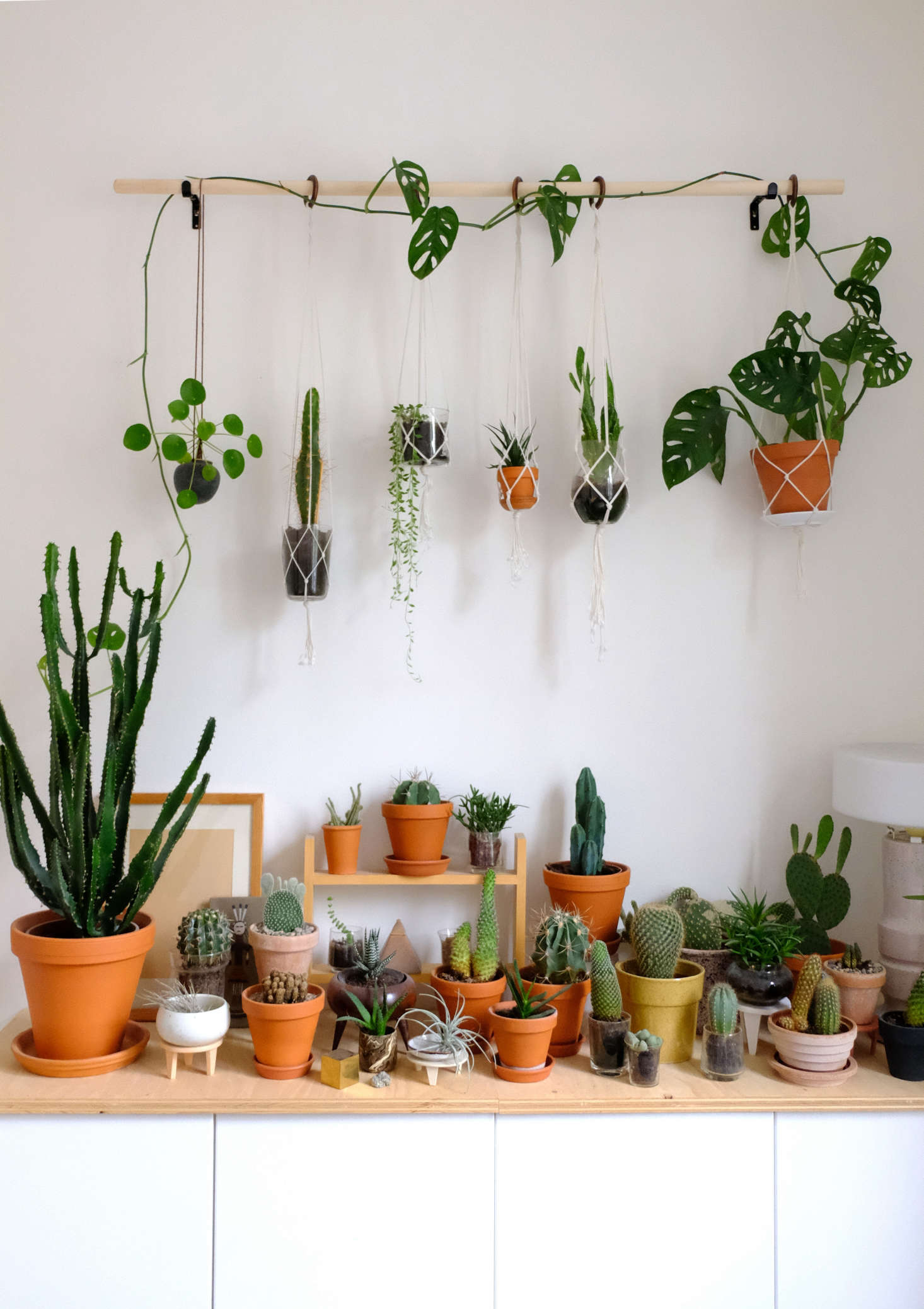 DIY hanging  plant  wall with macrame planters 