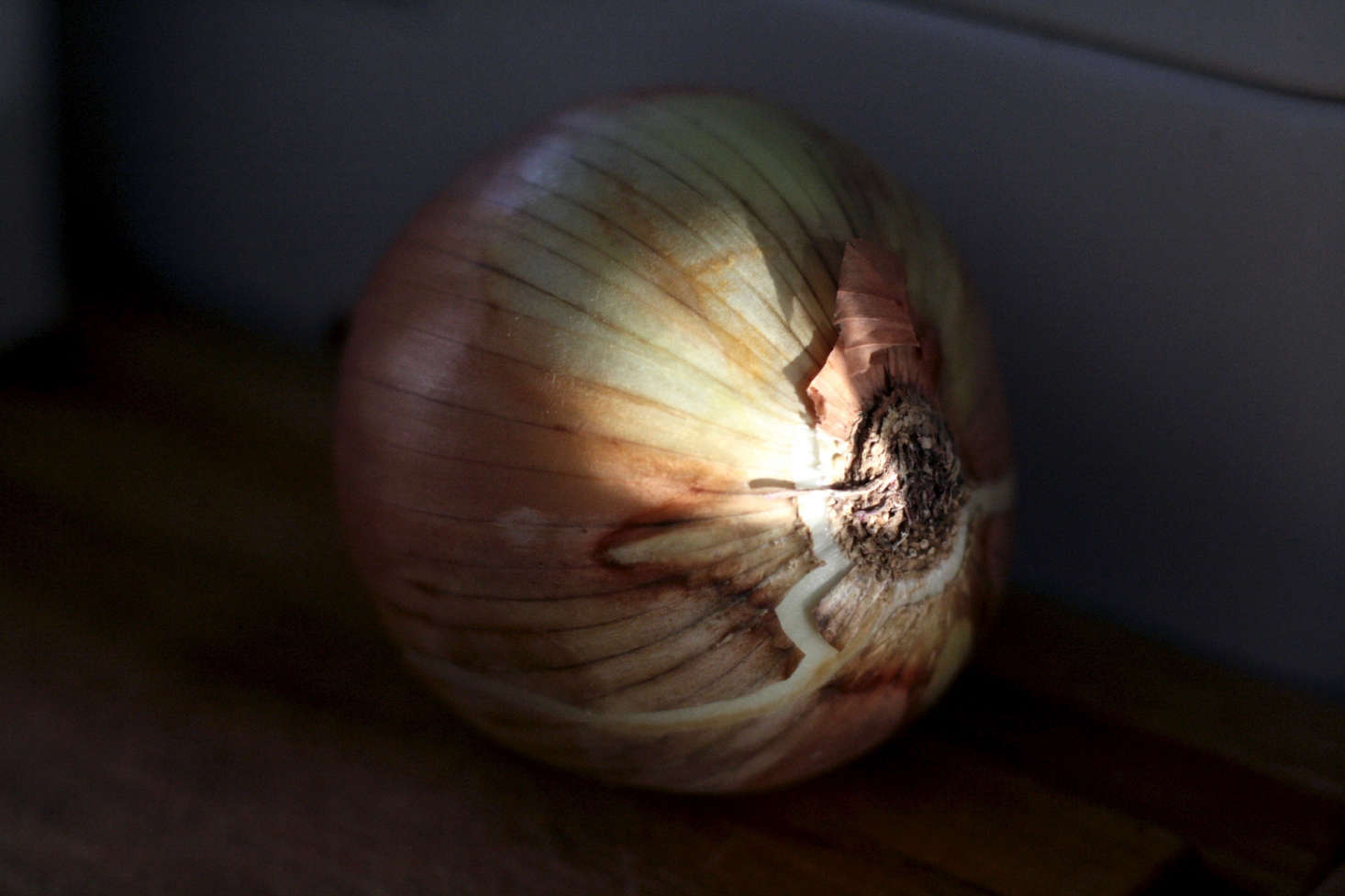 Photograph by Clarice Barbato-Dunn via Flickr.