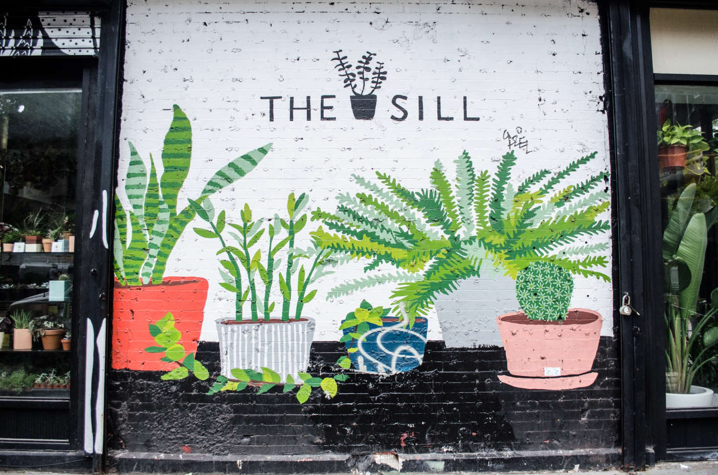 Easy houseplants and indoor plant care advice from The Sill in NYC.