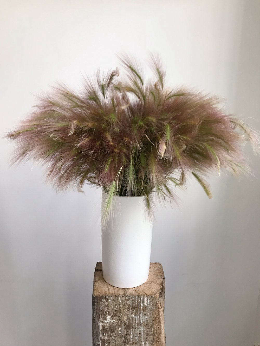 别把它花了!在巴黎的巴黎,在巴黎,在79年前,你就能得到自己的价格。