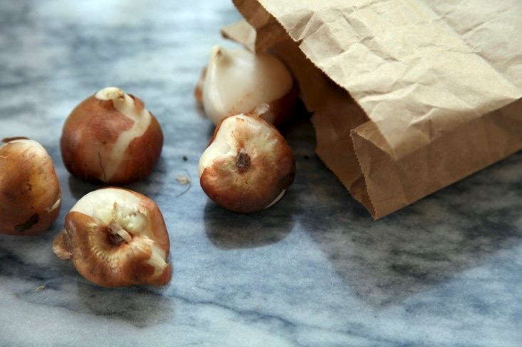 用棉布准备准备好了。梅雷迪思·哈特的照片。