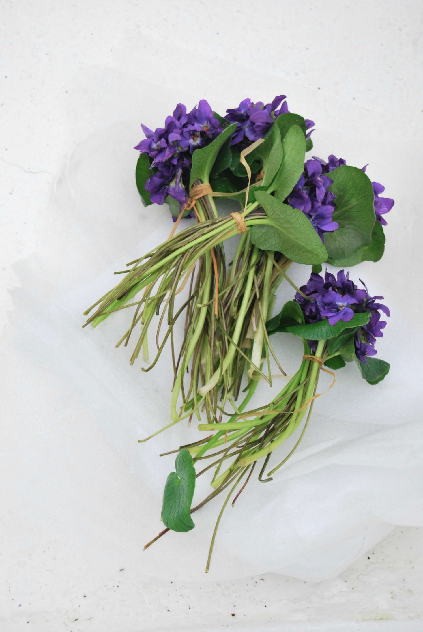 Violets have always been sold in tight little bundles with leaves around the edges.