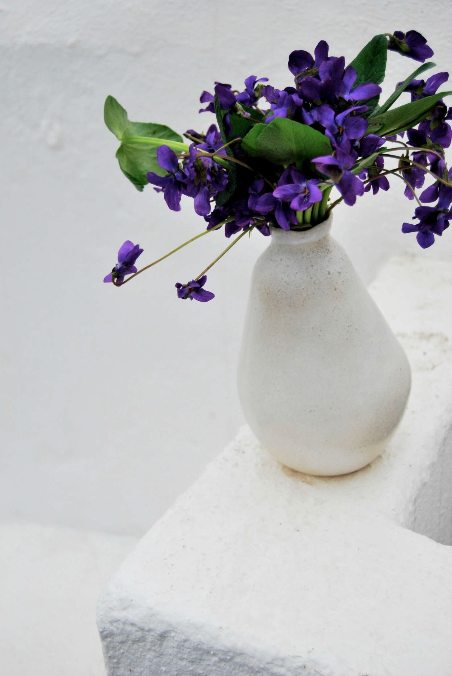 I left two of the bundles together and then added taller violets and leaves in between to offer more space. The result is a blowsy, airy, and fragrant bouquet perfect for a bedside table or bath.