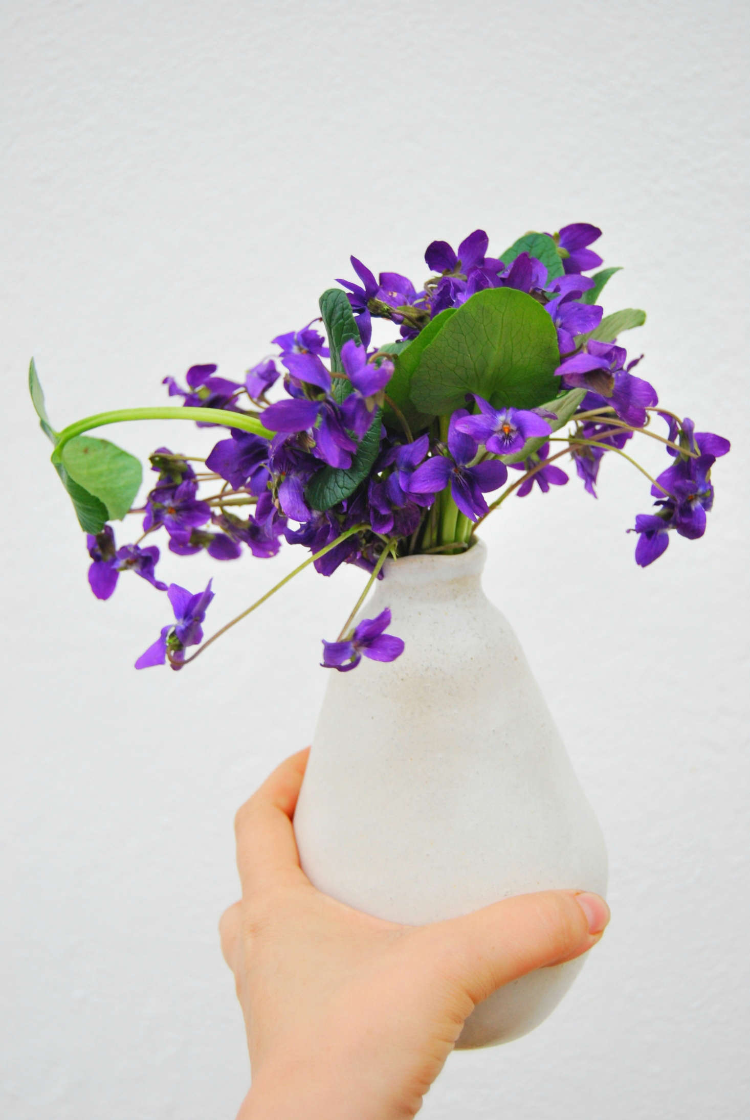 Above: As much as I love violets, they can be a bit tricky to style, tending toward a looks that
