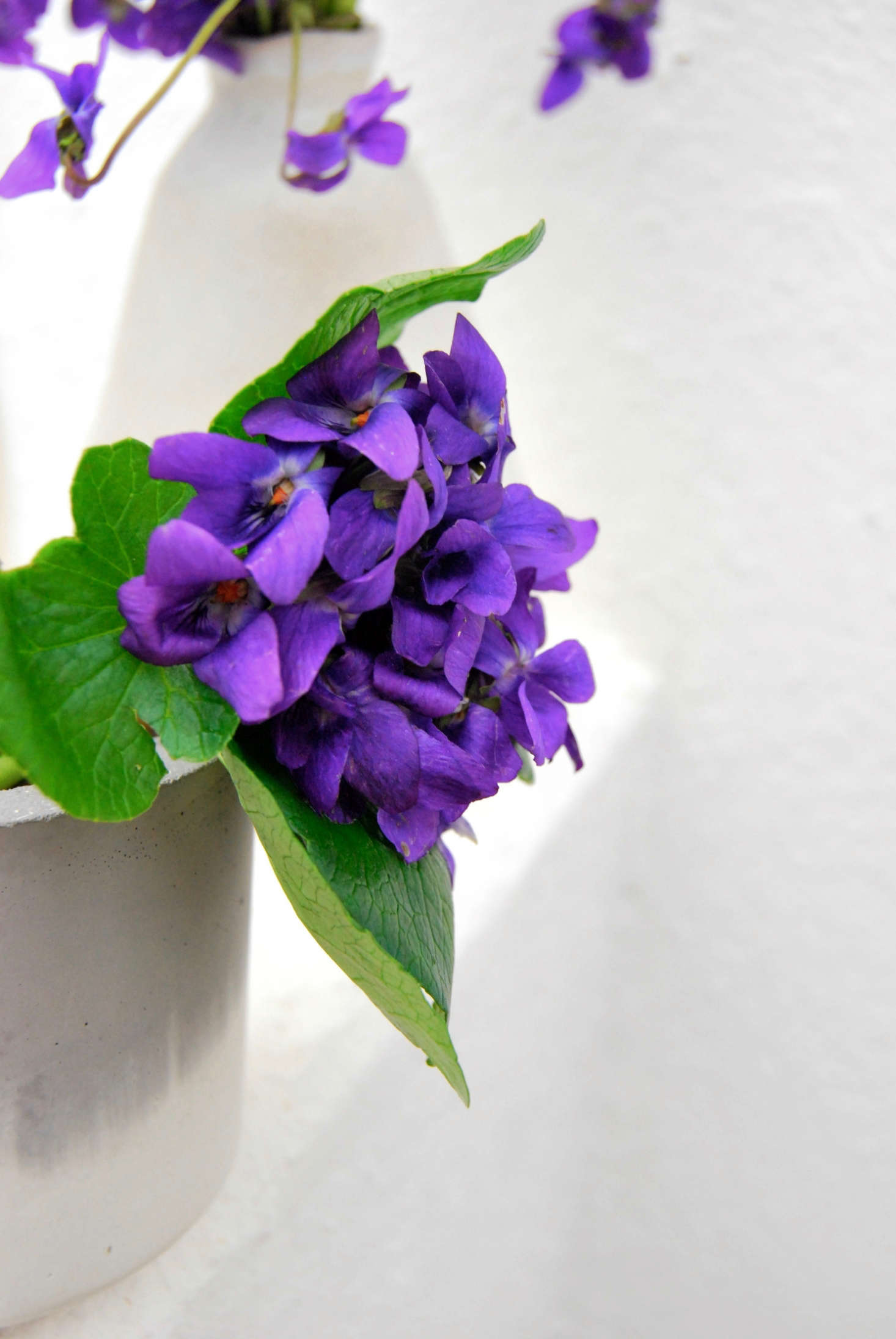 Letting the bouquet hang out over the side, or using a vase where you can see the stems, creates a more modern look for the violets.