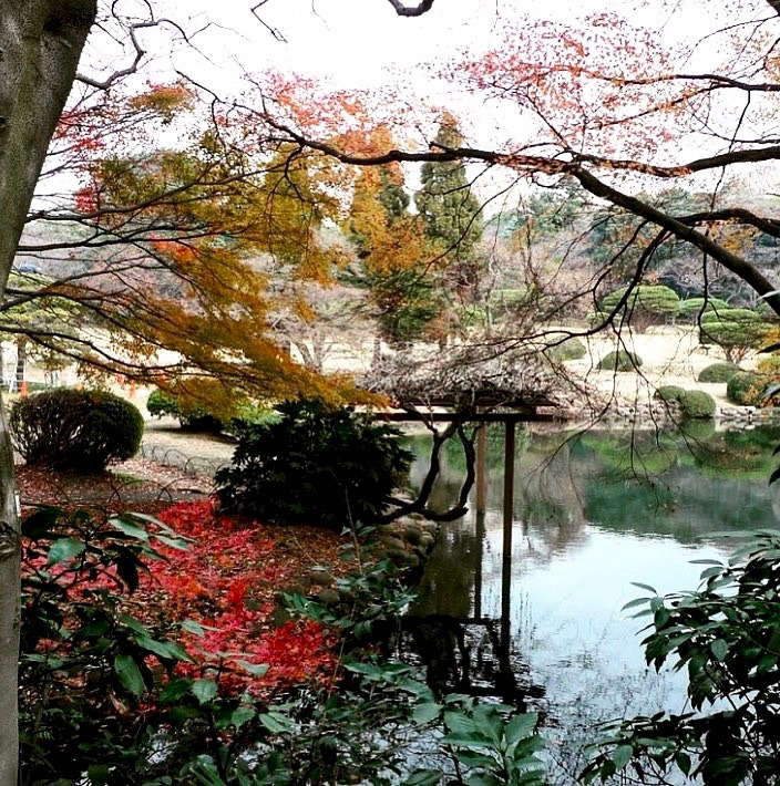 在这座建筑里有一种独特的建筑,在日本的花园里,发现了《财富》,包括《世界上》,以及《时尚》的《设计师》,以及她的世界。