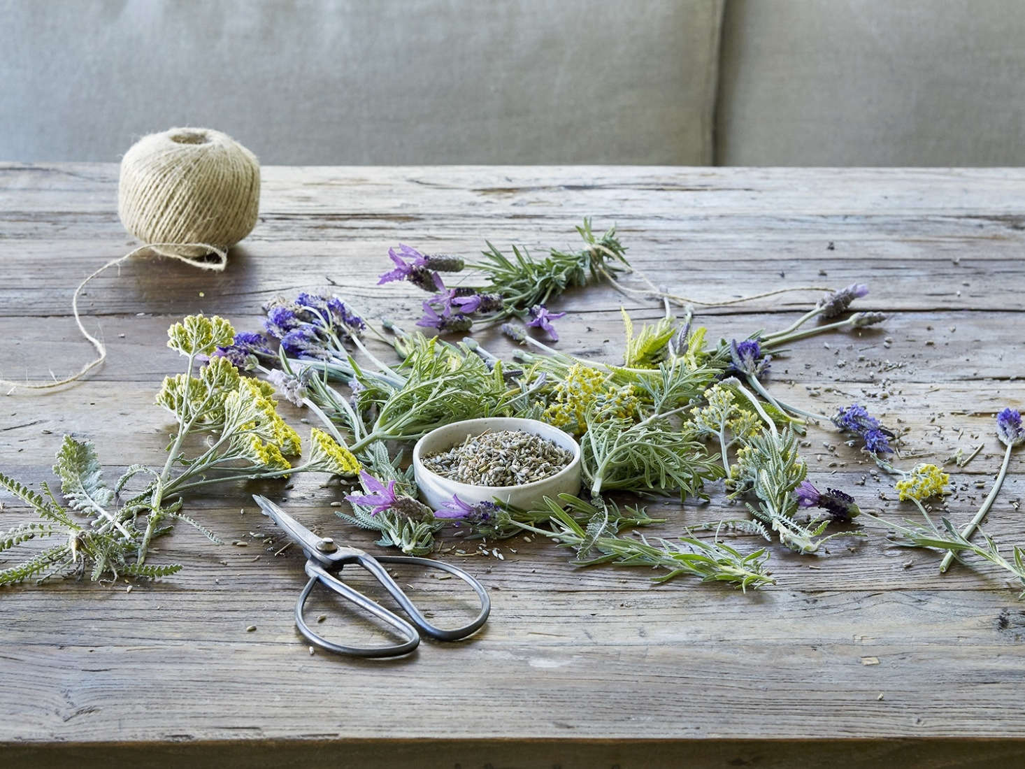 Loves me, loves me not, (clearly) loves me. Read more about flowering lavender in Everything You Need to Know About Lavender (Plus 5 Kinds to Grow).