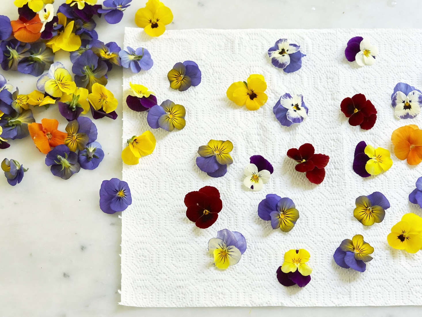 Rinse fresh flowers and herbs and allow them to dry before brewing tisanes.