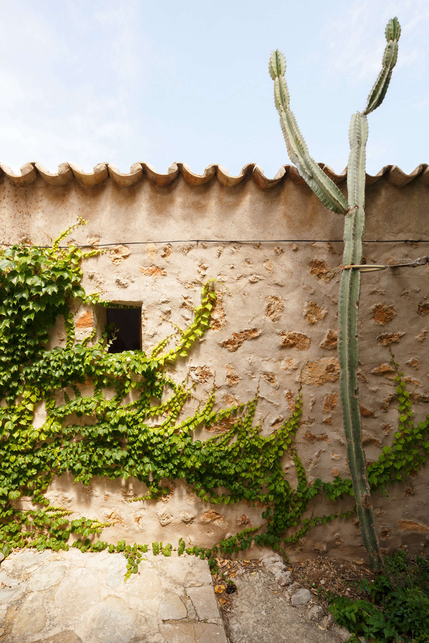 Here, vines give the illusion that the old house is being overtaken by the wild Mallorcan botany.