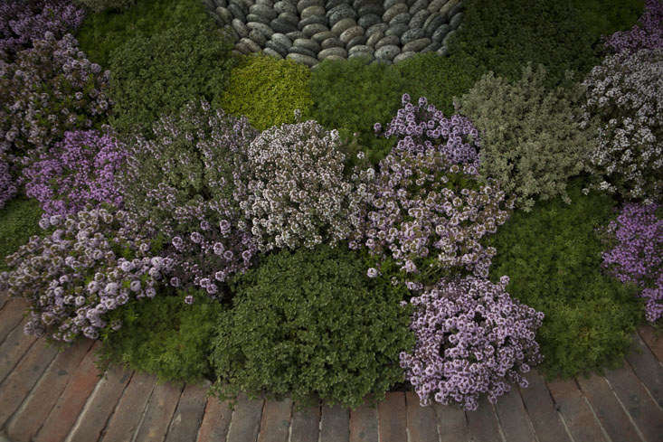 Photograph by Jim Powell for Gardenista.