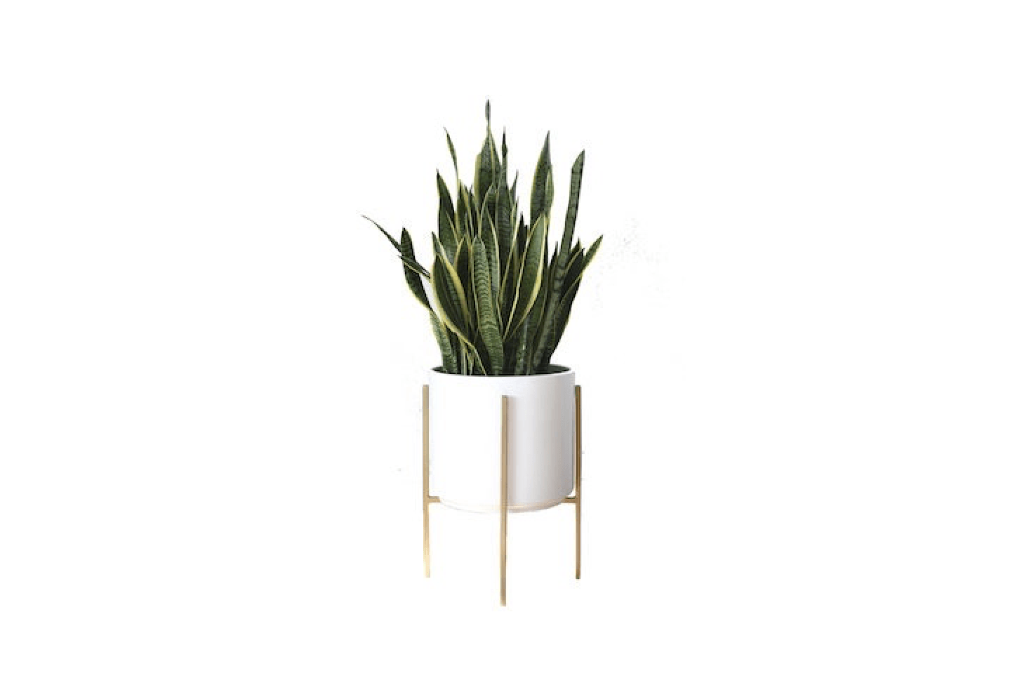 Midcentury Modern Cylinder Planters 10 Stylish Pots For Houseplants
