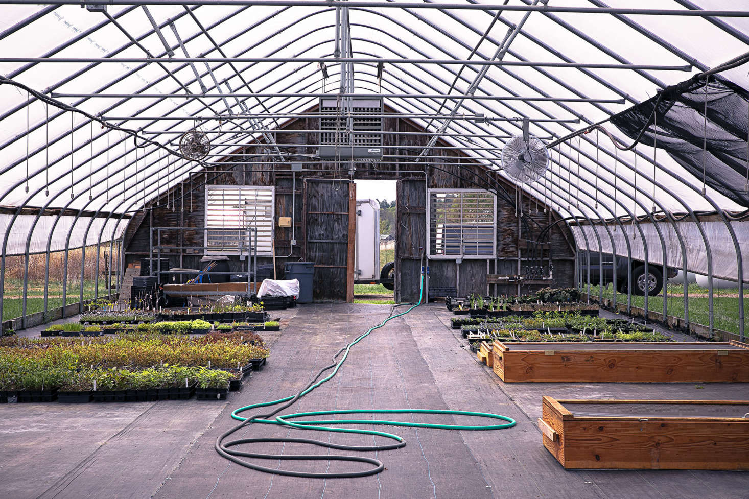 Because the New England climate and soil conditions range from loamy woodlands to sandy shores, growing conditions in each greenhouse are carefully tailored for each plant.