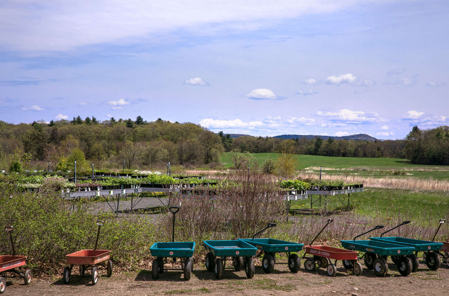 Outside the main building, which overlooks the rolling hills of the Pioneer Valley, carts await shoppers. Beyond the retail area and greenhouse, wild fields are used as native pollinator habitats and for seed collection.