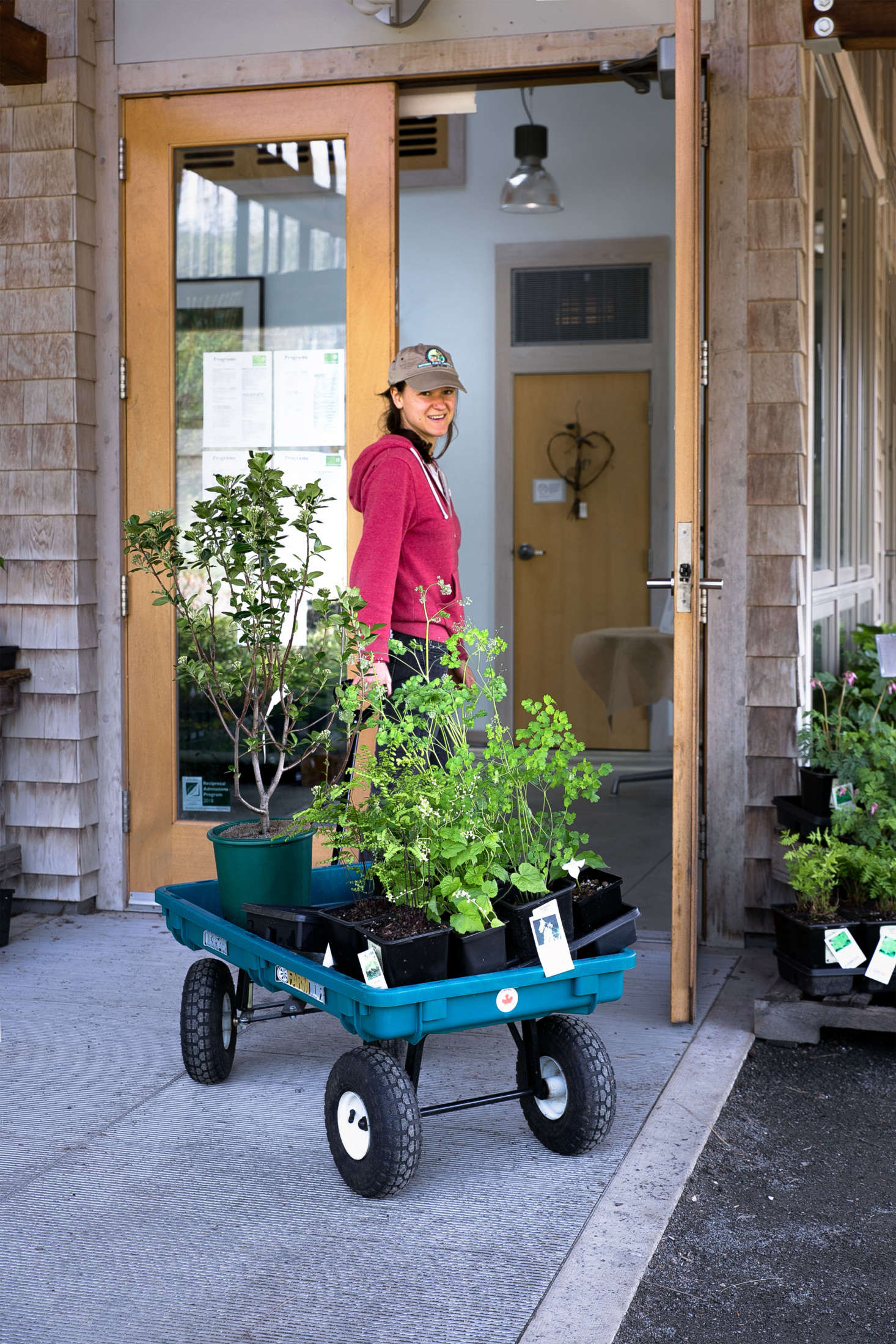 Anna Turkle, a plant sales associate, helps me with my purchases for the day.