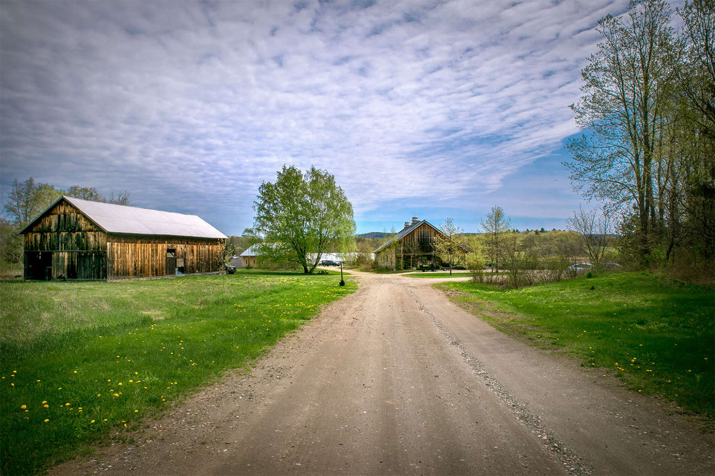 Located in Whately, Massachusetts, Nasami Farms is situated on 40 acres of bucolic farmland.