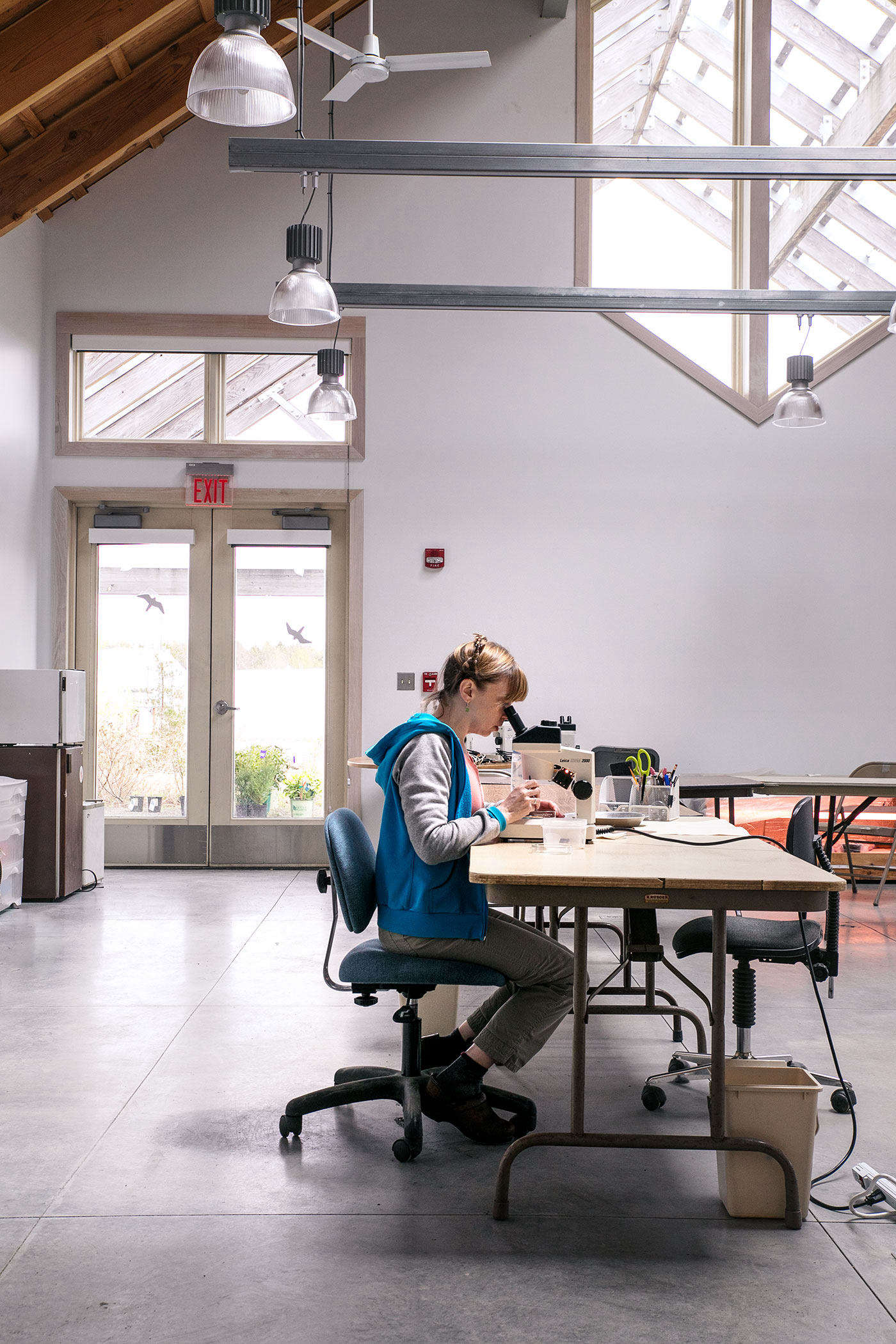 As part of its preservation efforts, New England Wildflower Society aims to bank the seeds of more than 380 regional plant species, particularly rare and endangered plants. Wild seeds are sustainably collected by hand from all over the region and brought to Nasami, where staff, including seed technician Kate Wellspring, manually clean and count them. Processed seeds are then placed in long-term storage in a climate-controlled building at Garden in the Woods.