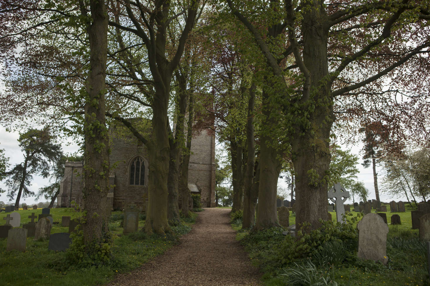 The Church of Saint Peter and Saint Paul at Harrington.