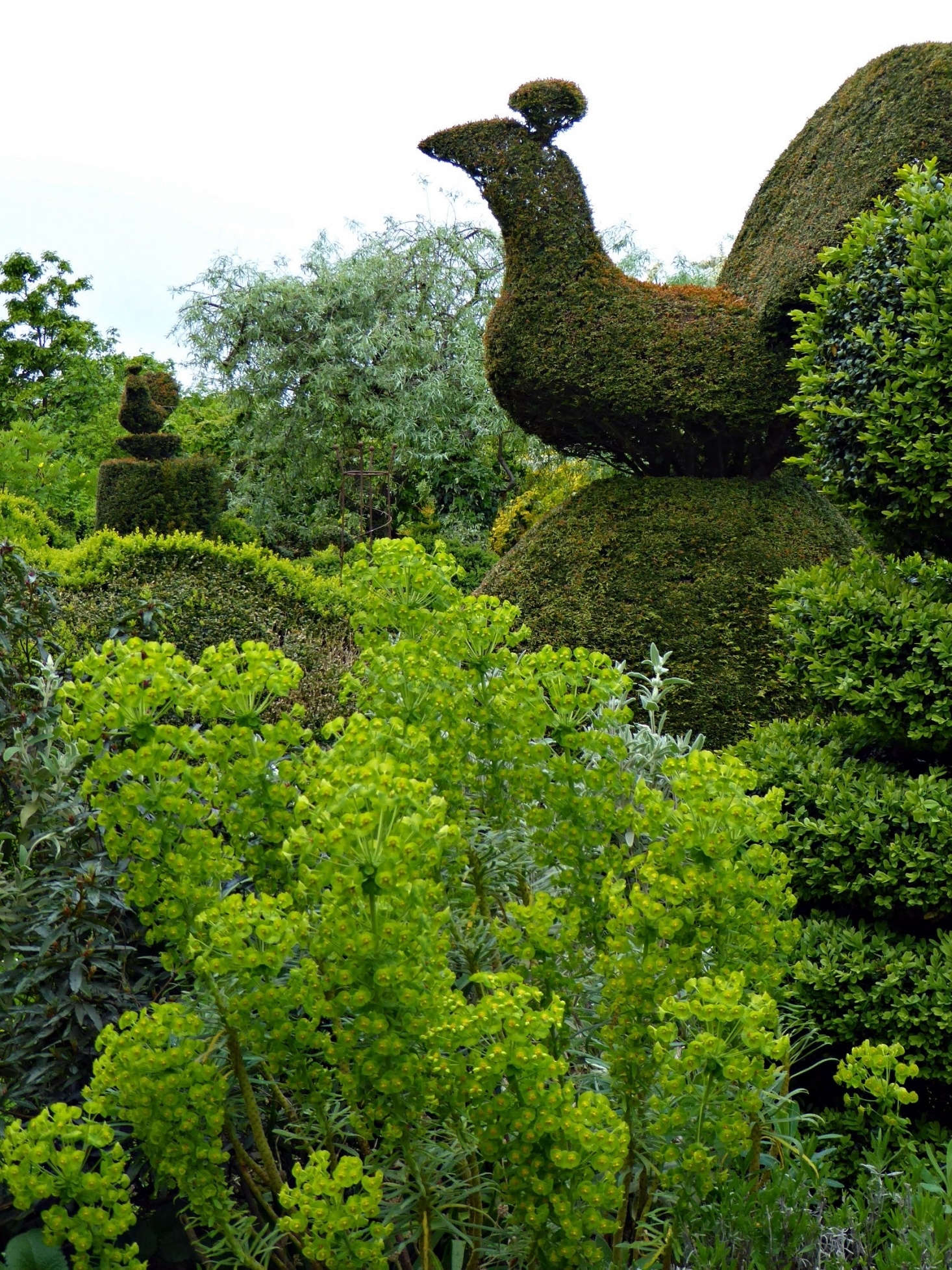 Boxwood Topiaries 6 Tips for Trimming Shrubs from Niwaki's Jake Hobson
