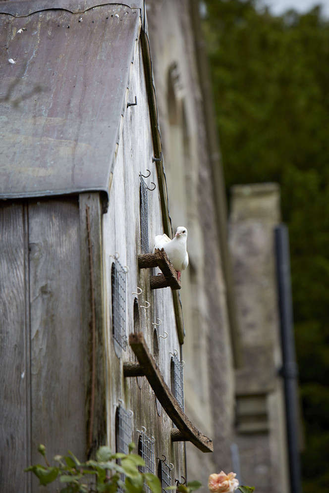 Dovecotes Everything You Need to Know About the Ultimate English Birdhouse
