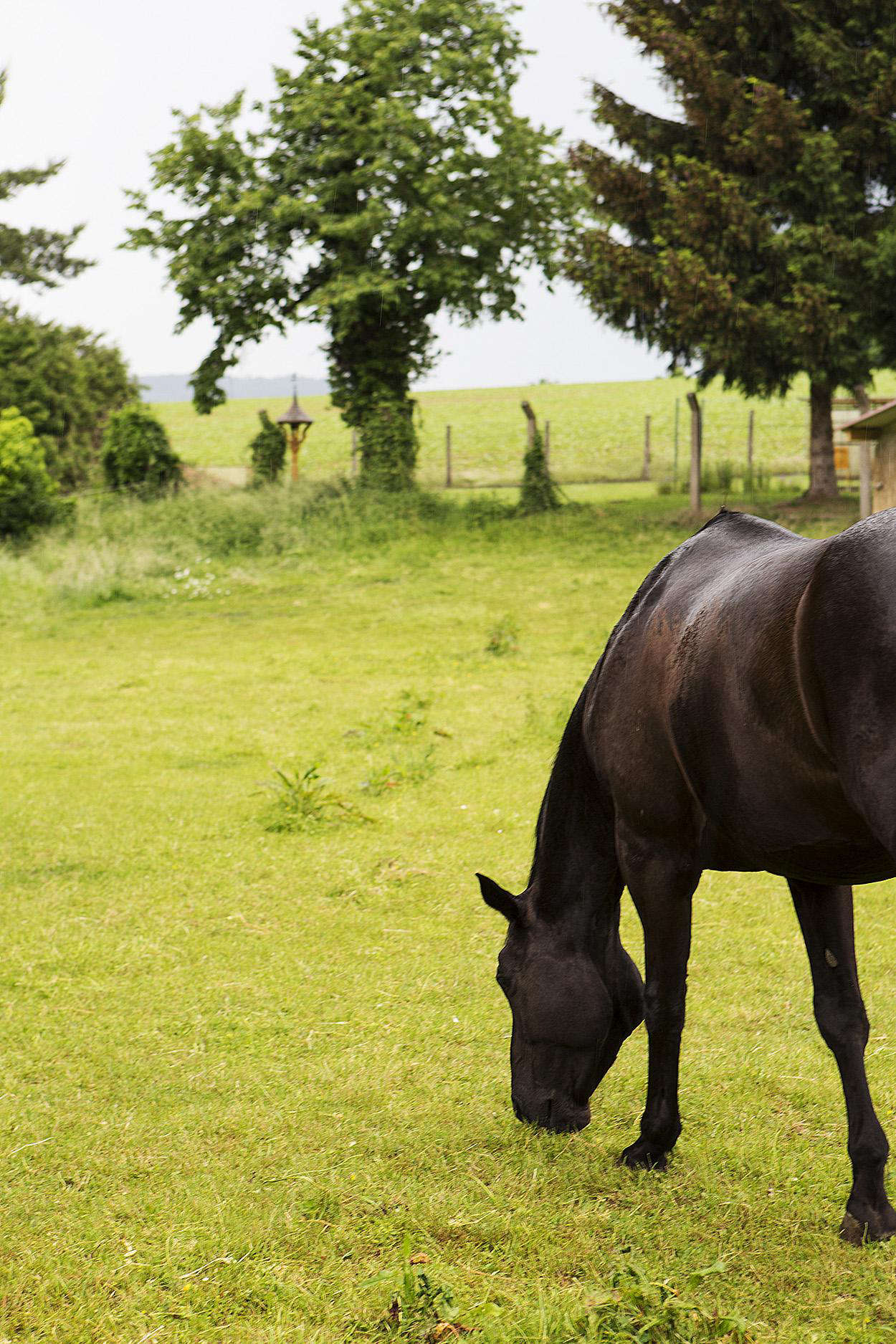 From the house it’s a short walk to the riding stables.