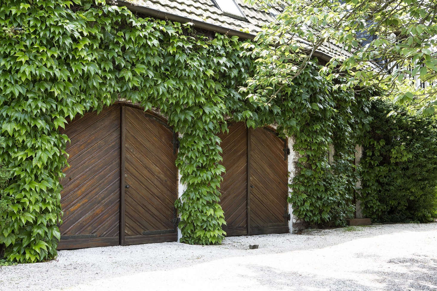 Vines soften the stucco facade of the garage.