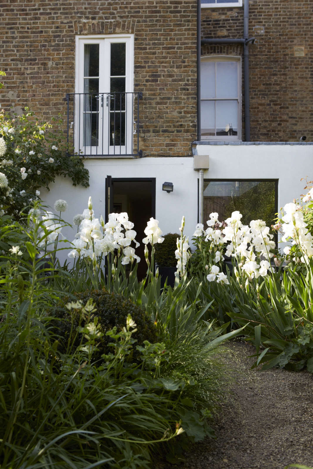 Looking back toward the house from the south-facing studio.