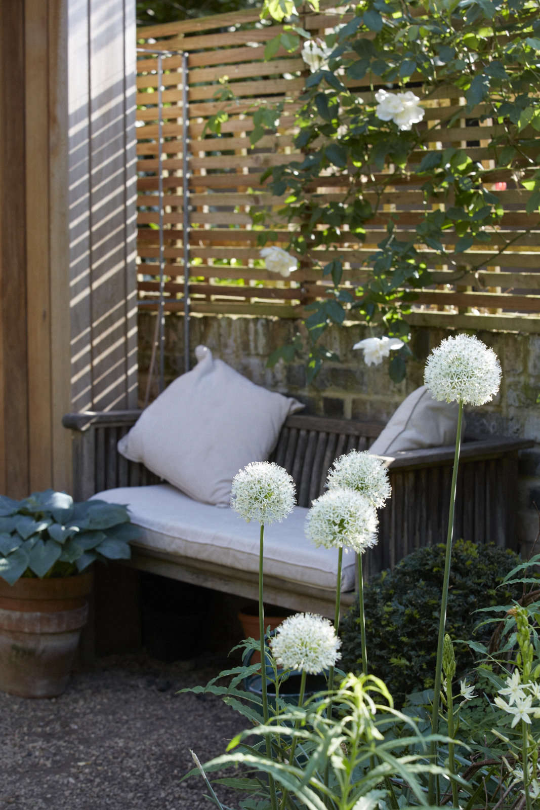 An east-facing bench that catches the sun in the morning.