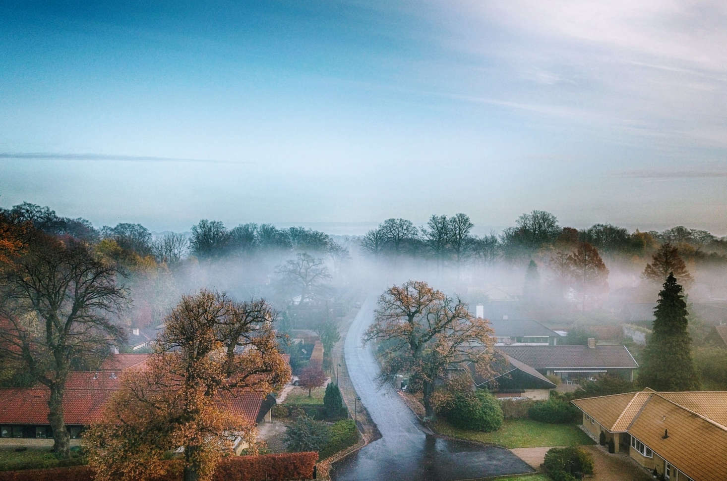An aerial view of gardens in Ordrup, north of Copenhagen, near where garden designer G.N. Brandt lived. Photograph by Lars Plougmann via Flickr.