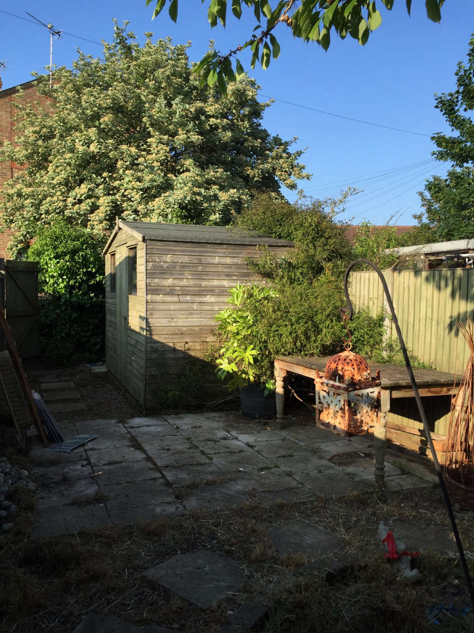 Concrete pavers held moisture, making the adjacent house feel damp and dingy.