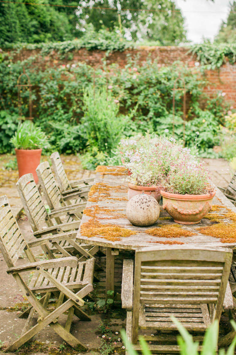 A mossy tabletop.