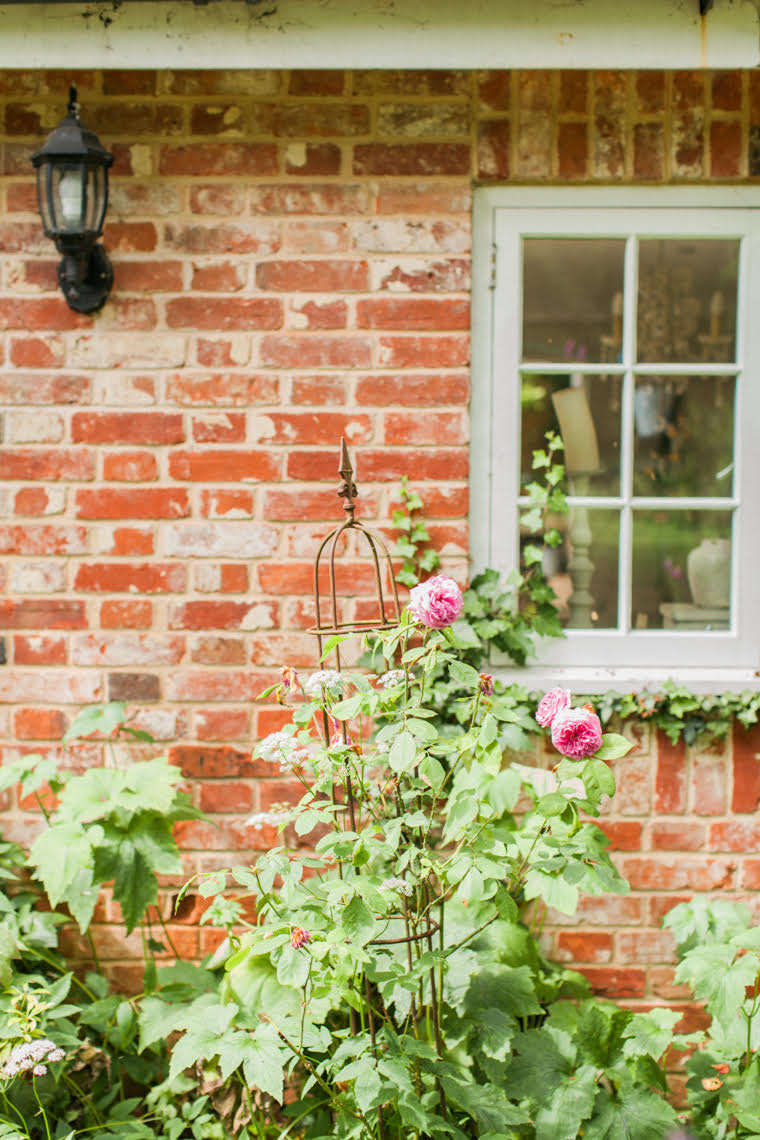 A climbing rose is locked in a passionate embrace with a rusted metal tuteur. See similar garden supports at Easy Pieces: Garden Tuteurs.