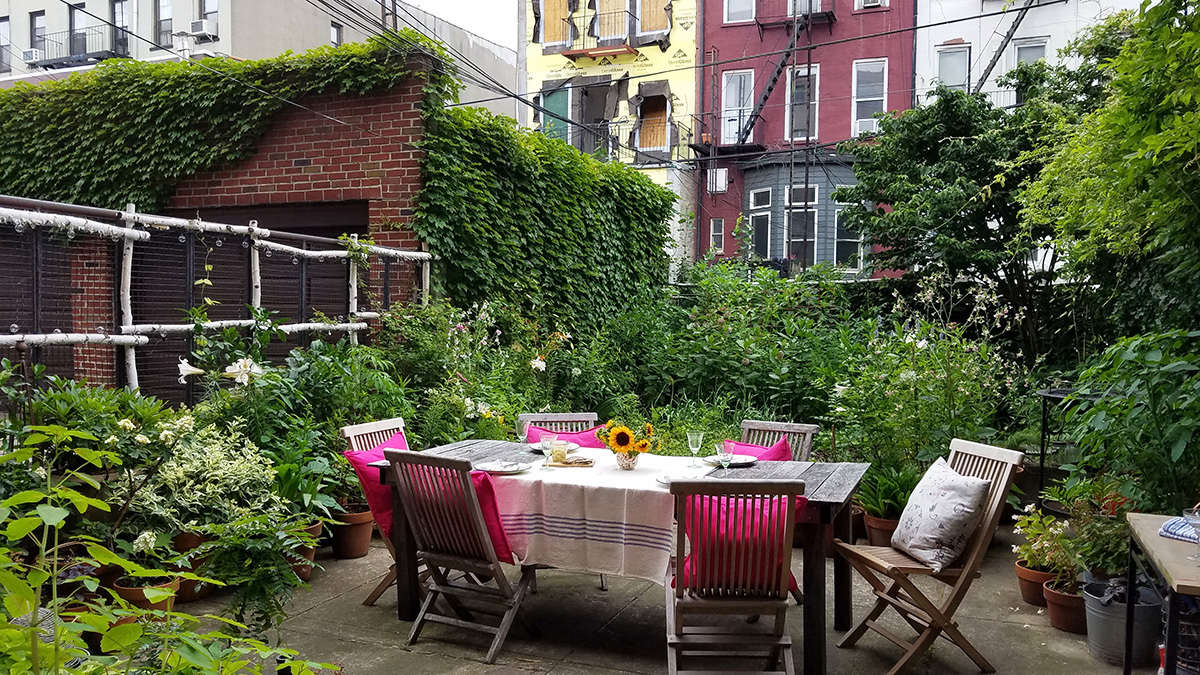 In the long summer evenings we eat outside every night, and watch the evolving pageant of garden life. In mid June fireflies begin to light up like airborne and electrical punctuation, bright apostrophes in the twilight. Katydids, crickets, and cicadas arrive next, providing a late summer soundtrack.