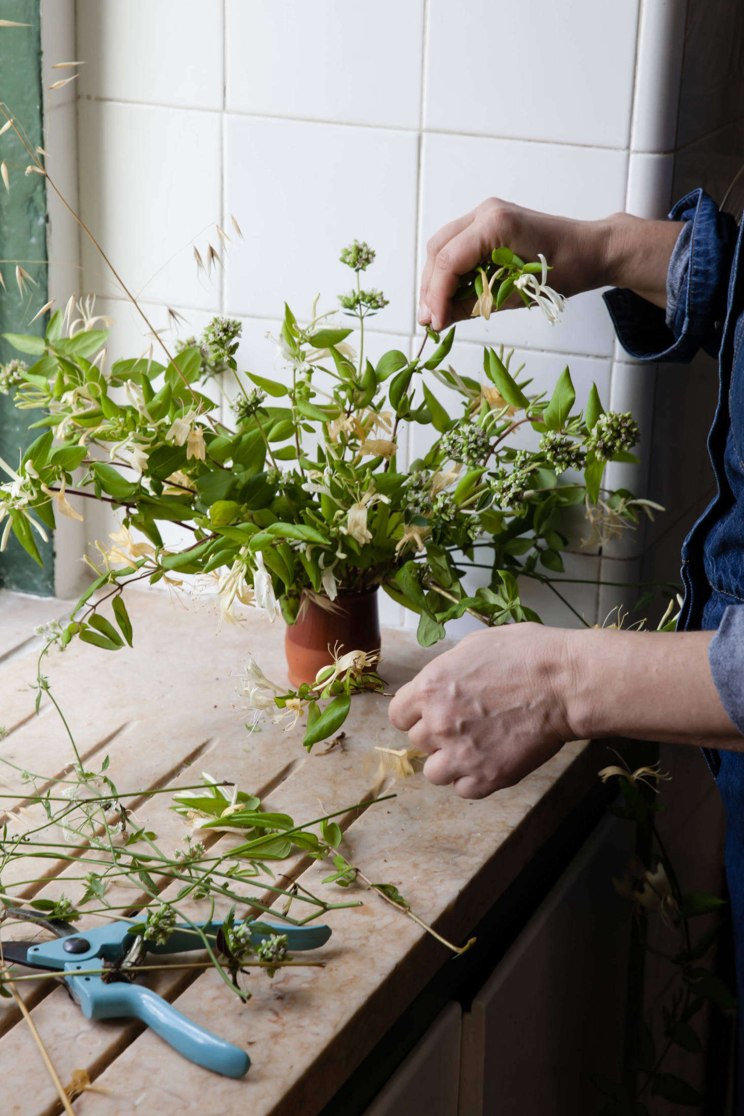 Honeysuckle makes long-lasting arrangements.