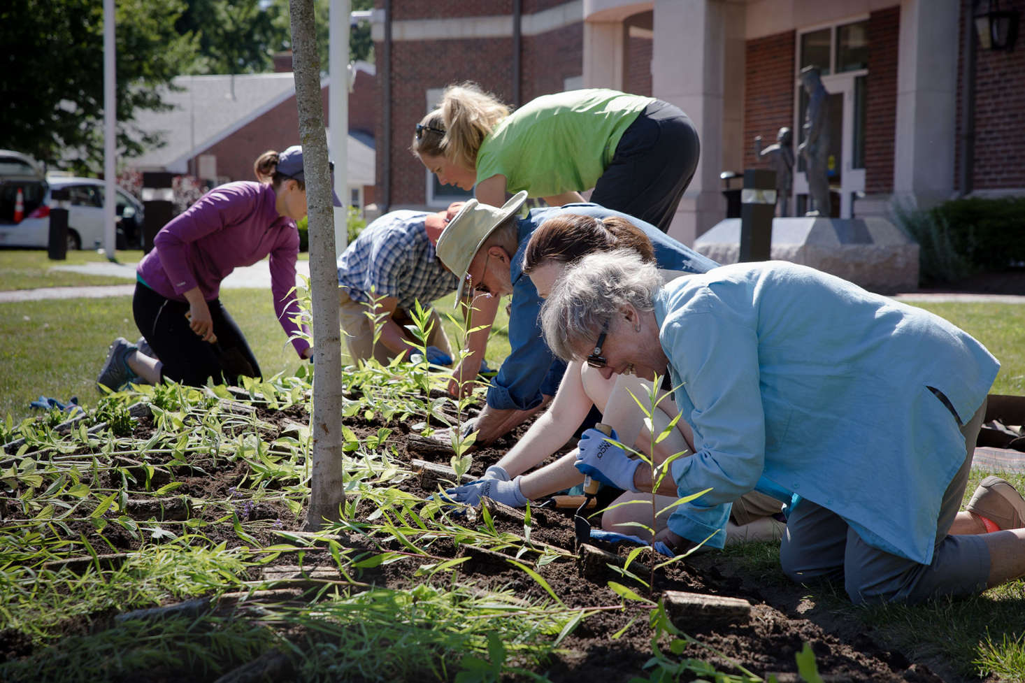 Bitten by the native pollinator bug, the enthusiastic team at Wellesley planted a new pollinator garden in about half an hour.