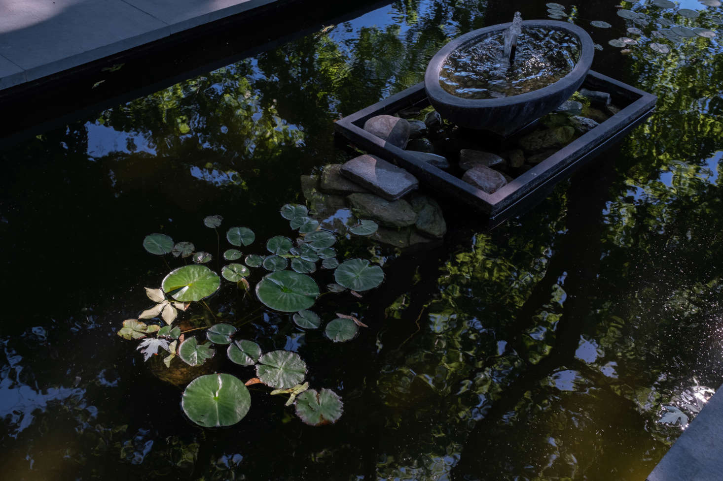 The shallow pool, with lily pads, is home to the couple’s turtle, Moe. He winters in a glass tank in the house until the water warms up enough for his reentry.