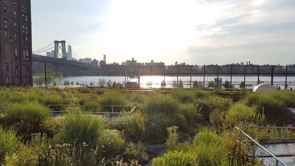 As the late afternoon sun blazes before dipping behind Manhattan and Jersey, it is easy to imagine that perhaps no one here ever goes home. They just break out some cold drinks, flop into the chairs, recruit a head of cabbage for some slaw, and delegate which coworkers will fire up the barbecues, waiting for action.