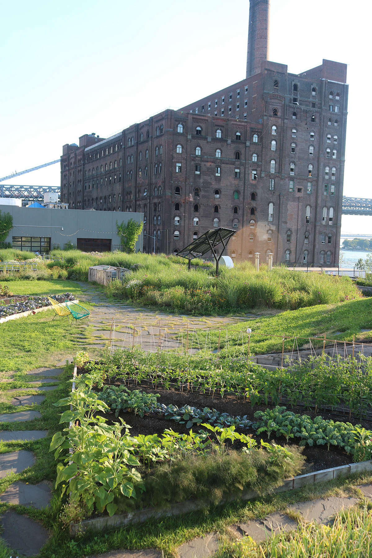 The vegetable garden at the northern end of the space is planted in raised beds, with a depth of about 12 inches.