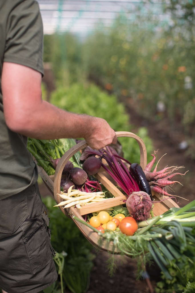 The produce grown here is served exclusively at Heckfield Place and Spring (although until the official opening, surplus stock has found its way into a few lucky local farm shops).