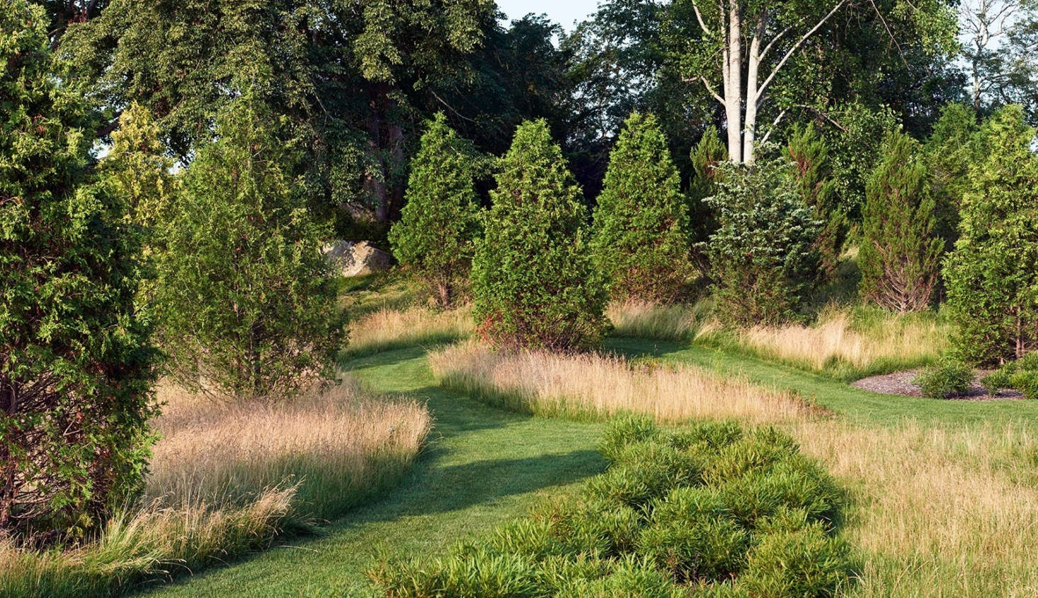 Beyond the evergreens that shelter the Blue Garden are native grasslands with mown paths. Photograph by Millicent Harvey.