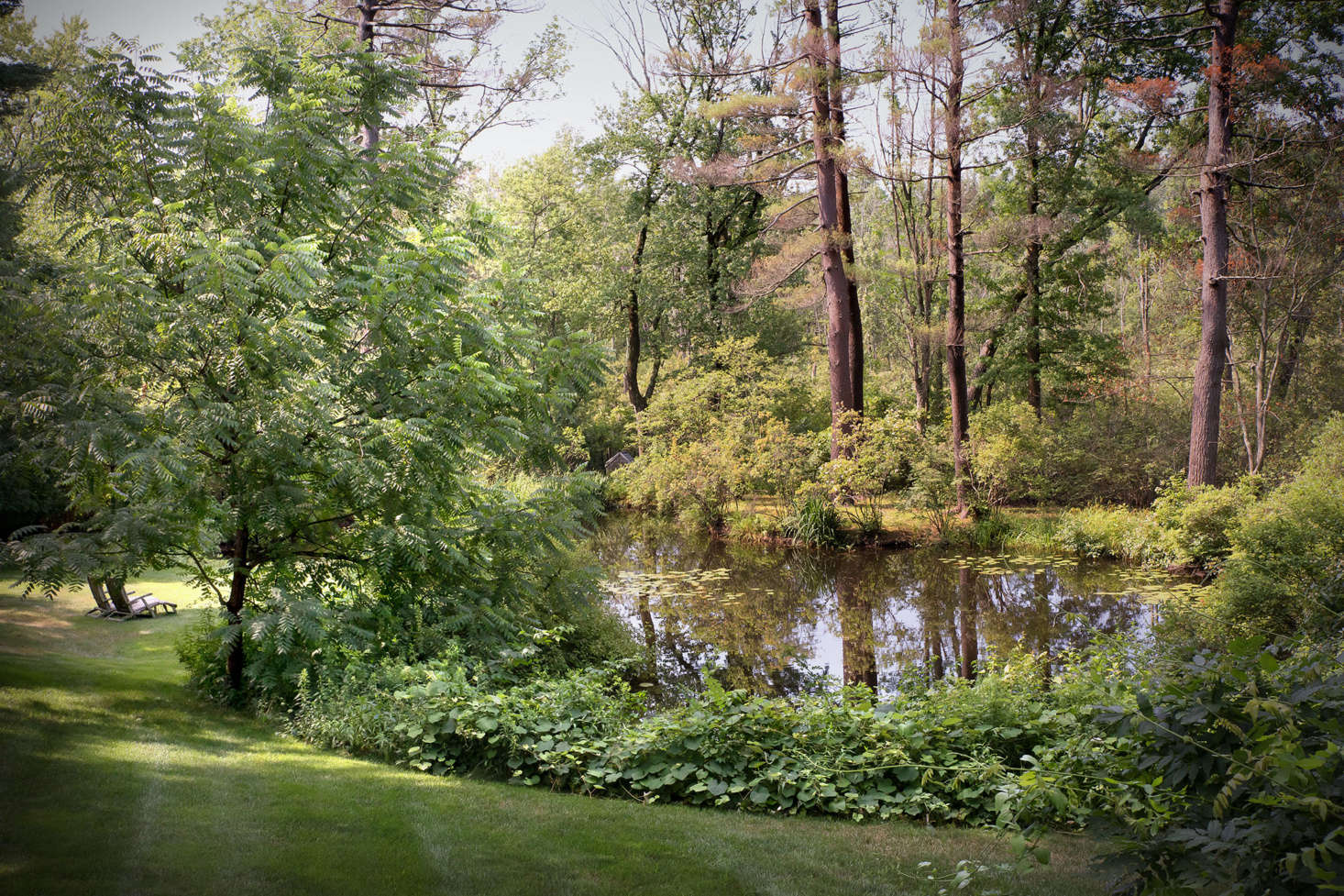 Below the lawn and pool a winding path leads to a man-made pond that was created in the s. Here Bob