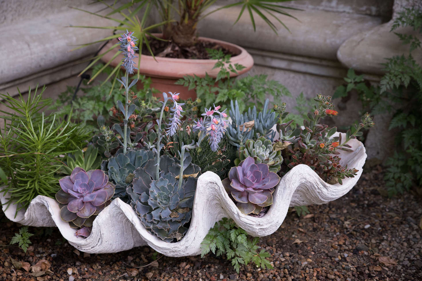 Strategically placed throughout the terraces, container gardens with exotic plantings such as succulents and cycads enhance the Mediterranean flavor.